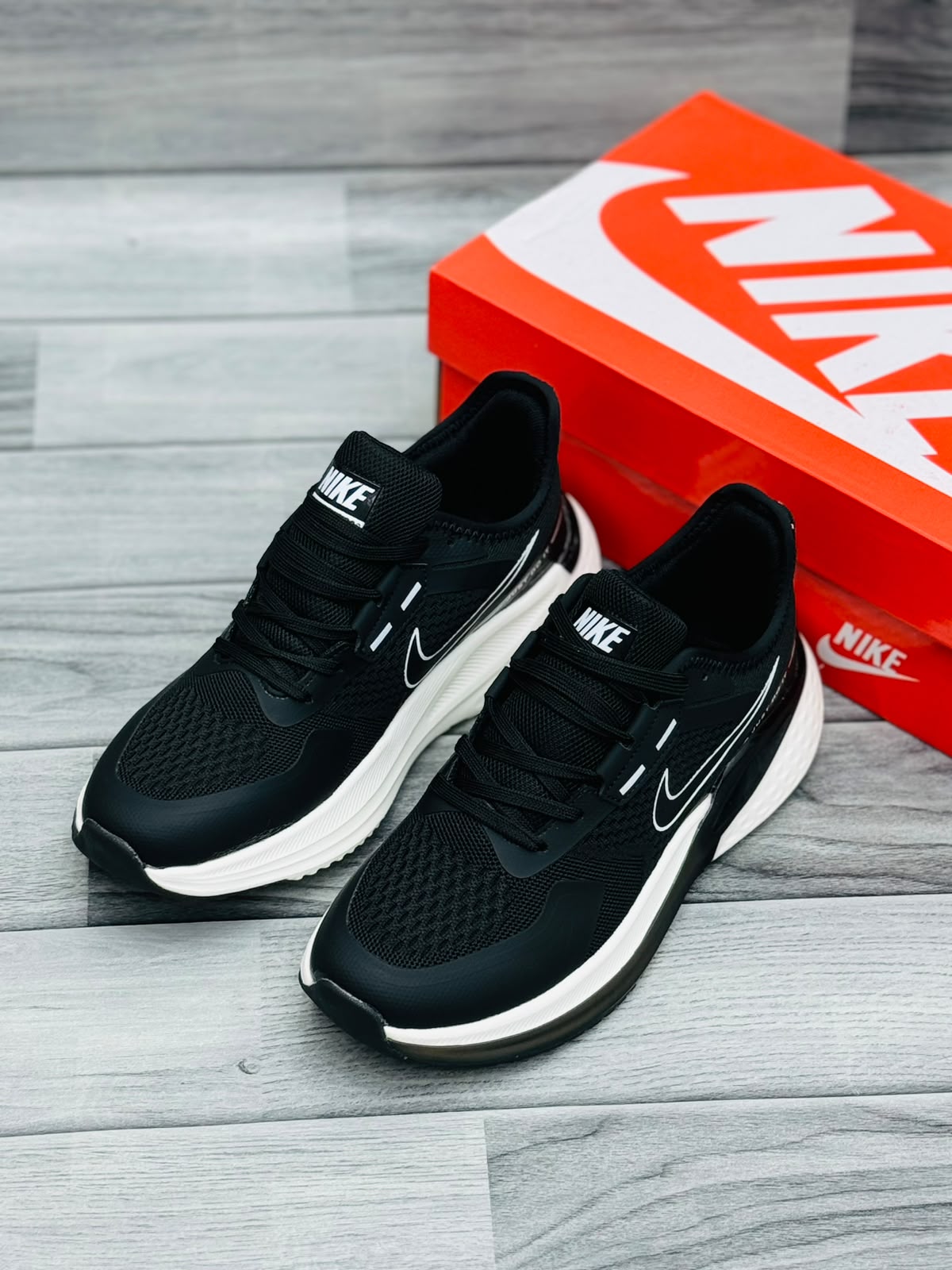 NK Pegasus 41