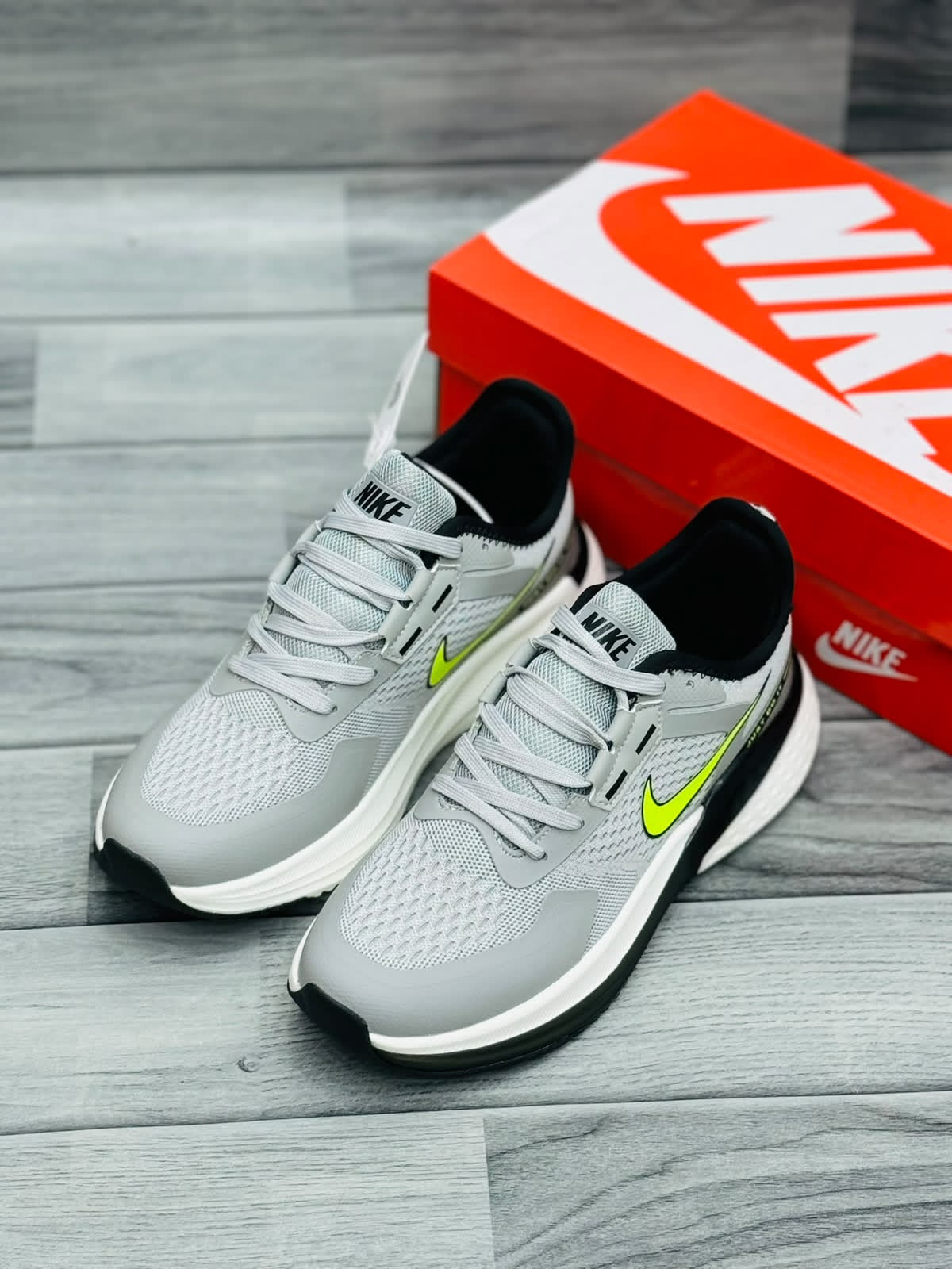 NK Pegasus 41