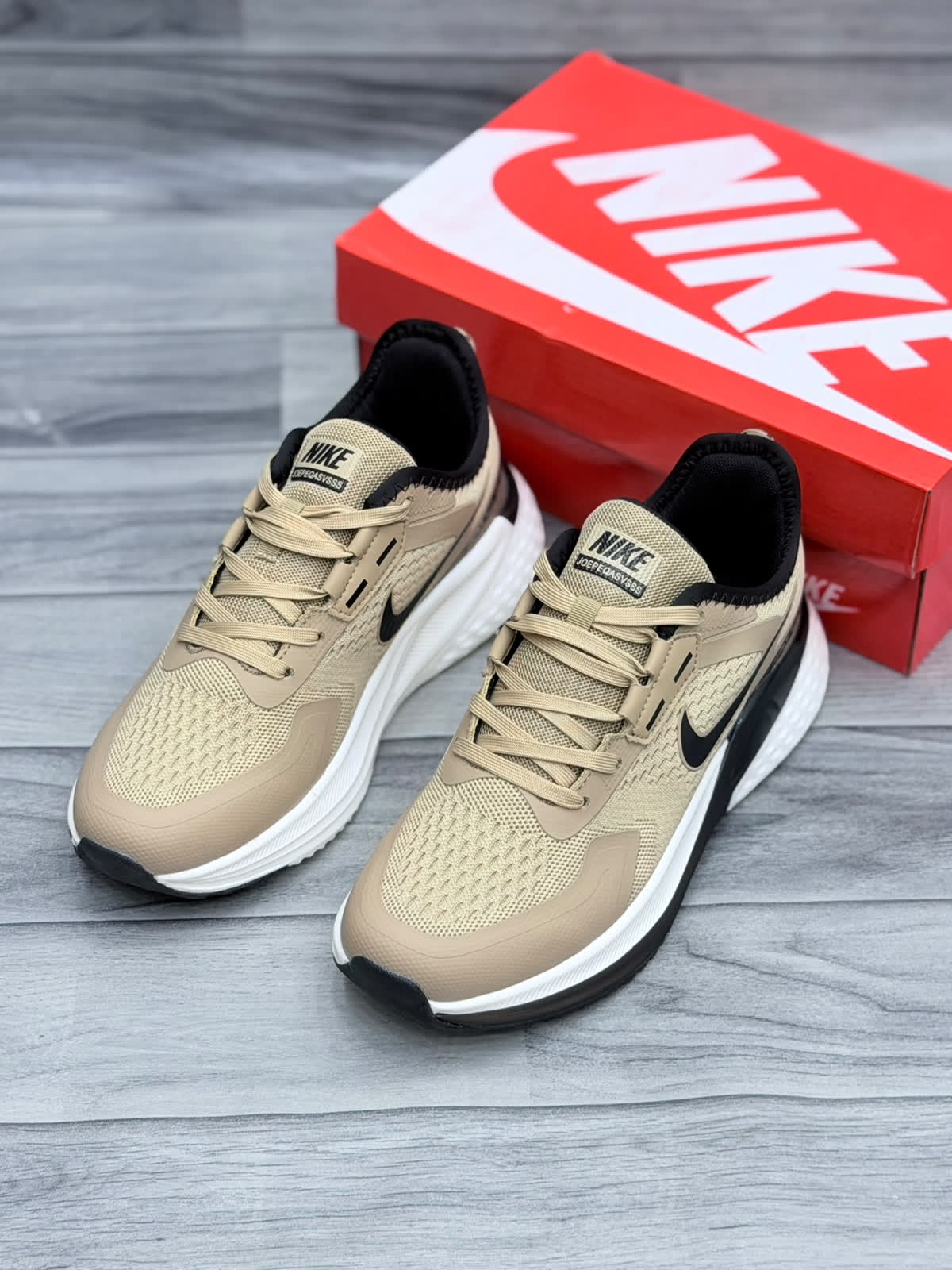 NK Pegasus 41